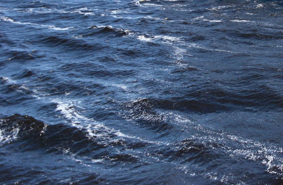 Женщина едва не утонула на реке под Северодвинском